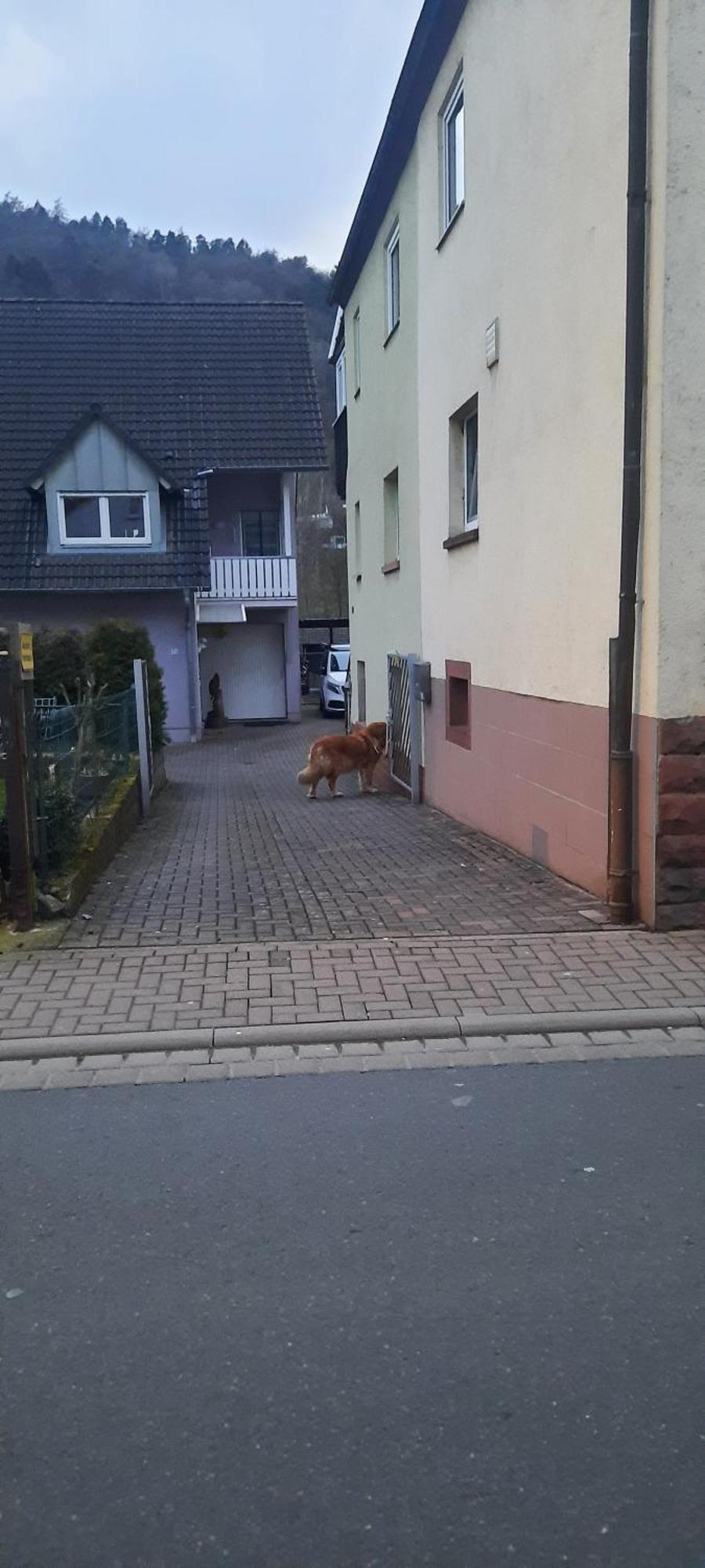 Eichenbuhl  Main Zu Hause 빌라 외부 사진